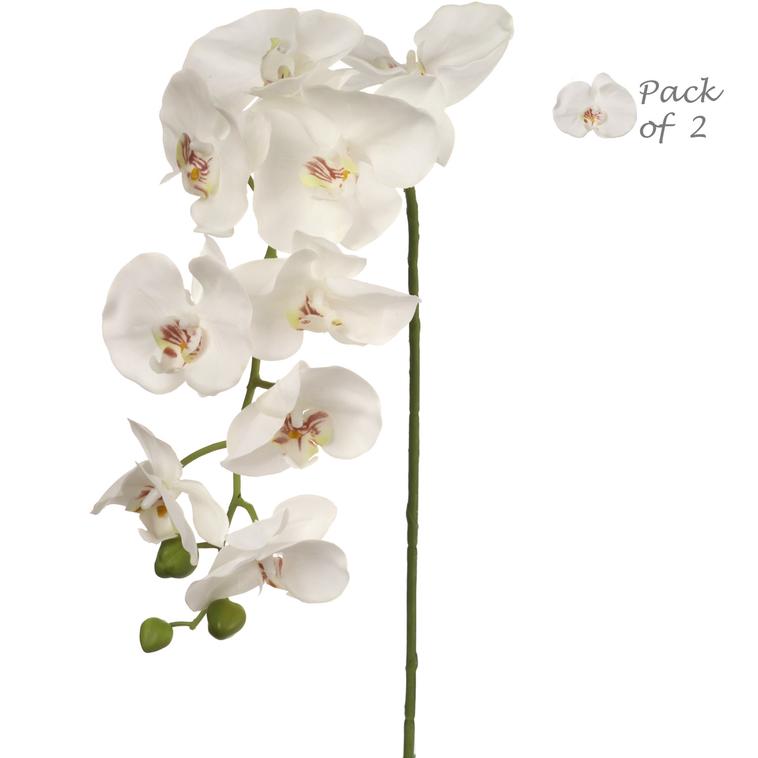 Set of 2: Artificial Phalaenopsis Orchid Stem with 9 Lifelike Silk Blooms, 33.5-Inch, White, Floral Stems, Winter & Spring, Parties & Events, Home & Office Decor